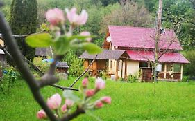 Карпатський світанок